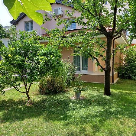 Villa Tamara With Garden And River View - Free Private Parking - Garage Mostar Exteriör bild