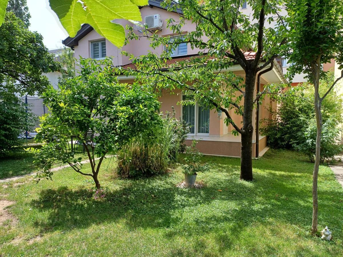 Villa Tamara With Garden And River View - Free Private Parking - Garage Mostar Exteriör bild